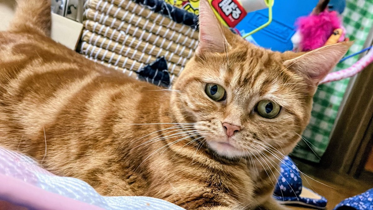 10月31日は雨？SNSで話題の天気予報