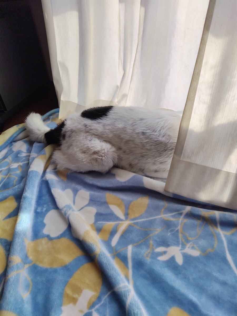 SNSで話題の早朝覚醒、その原因は？