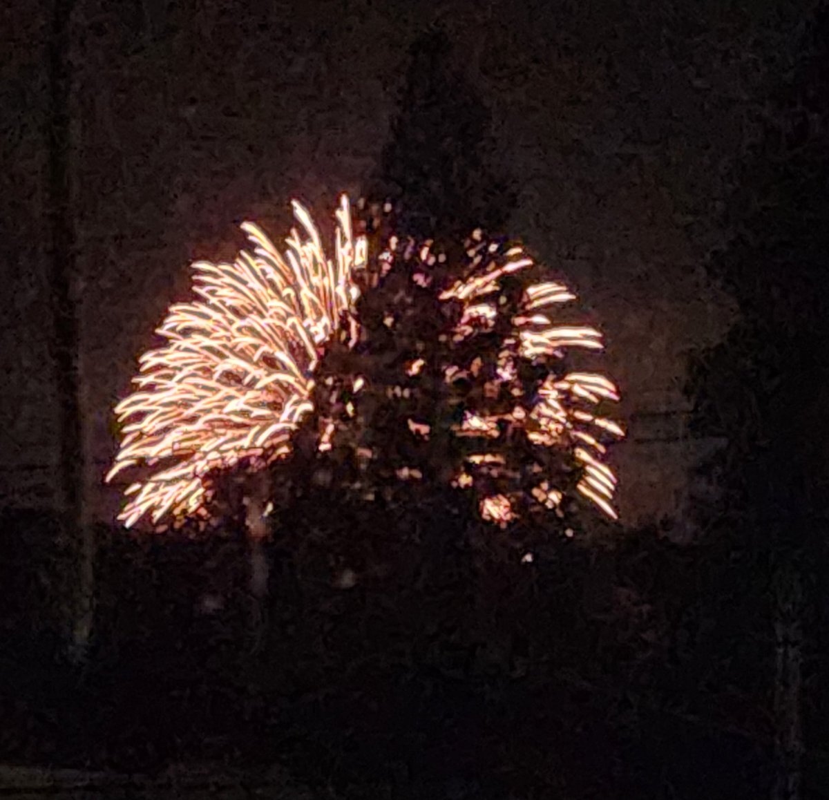 King & Princeの花火、遠くまで聞こえた！