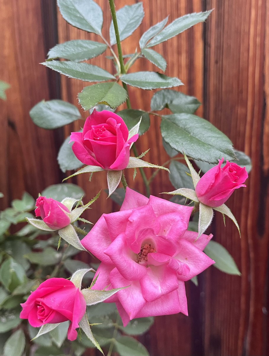 2025年11月10日はどんな日？