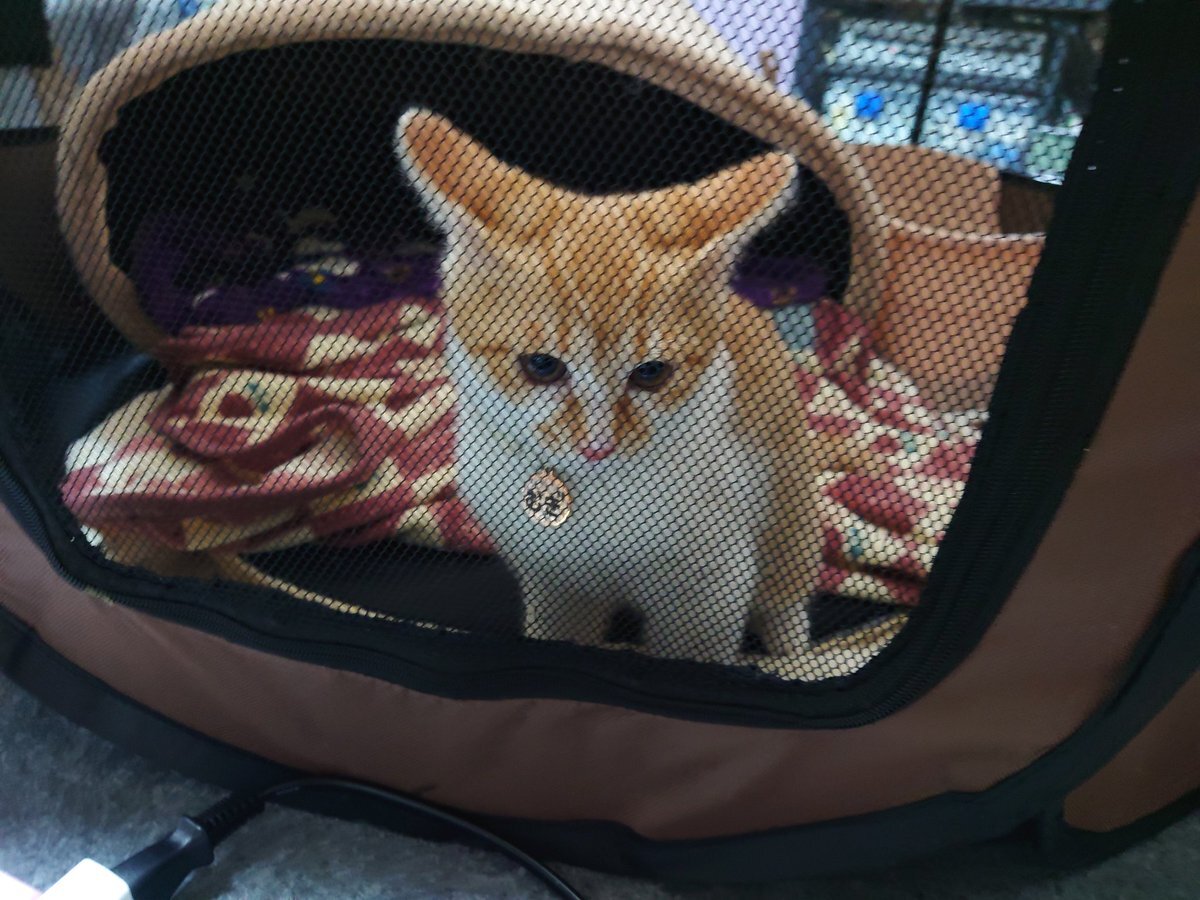 青森県沖地震、SNSで「長い揺れ」に不安の声