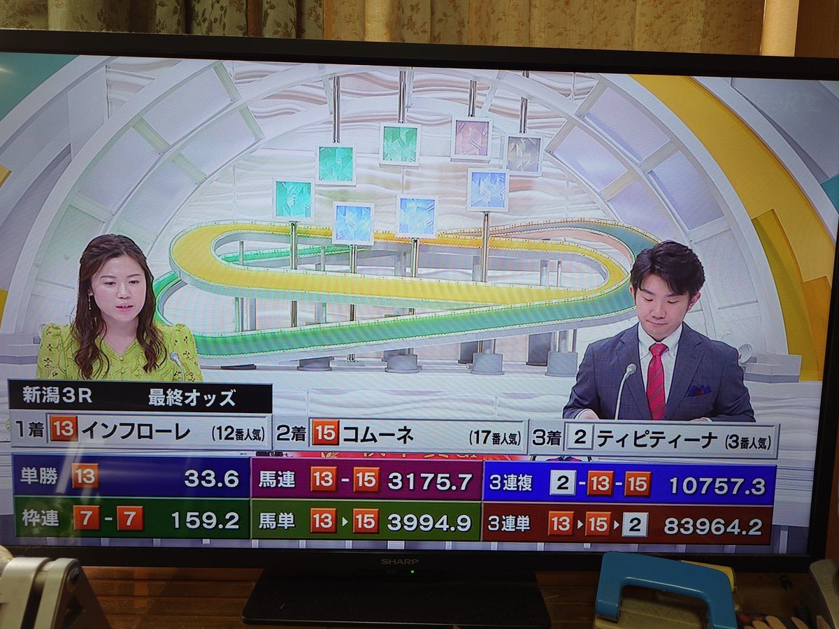 コムーネ、17番人気で2着！予想外の好走に注目が集まる