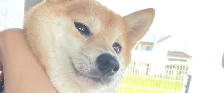 青柳翔」のYahoo!リアルタイム検索 - X（旧Twitter）を