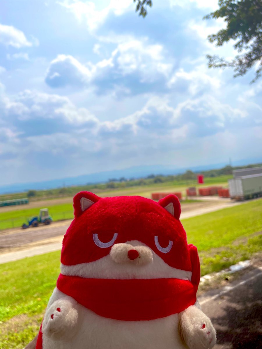 にゃんまる にゃんまる」のYahoo!リアルタイム検索 - X（旧Twitter）を