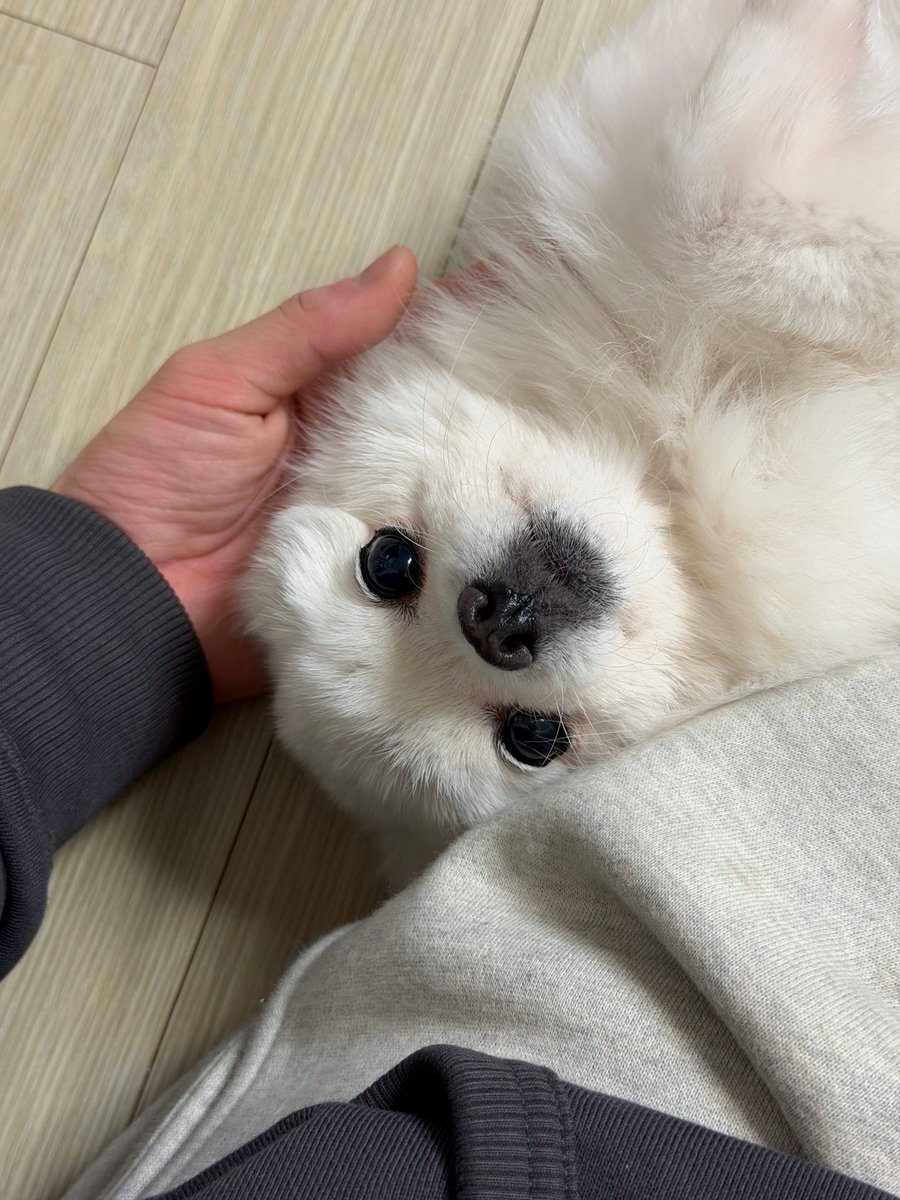 ハンビン」のYahoo!リアルタイム検索 - X（旧Twitter）をリアルタイム検索