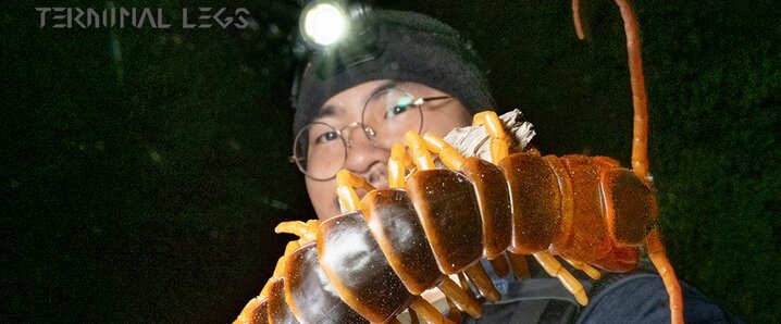 ⭐️noaです ノア. (@kzmnoah) / X