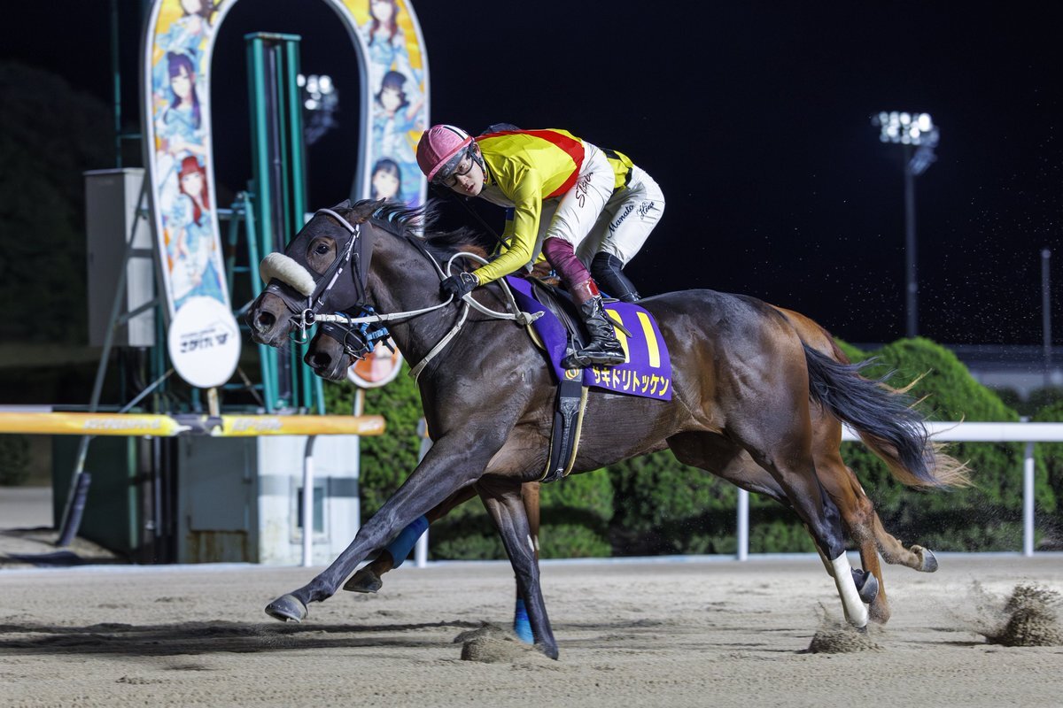 サキドリトッケン、佐賀2歳重賞4競走完全制覇！ 