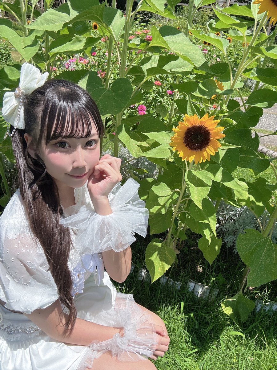 もーちゃん X（旧Twitter）で話題のおもしろ画像や動画 - Yahoo