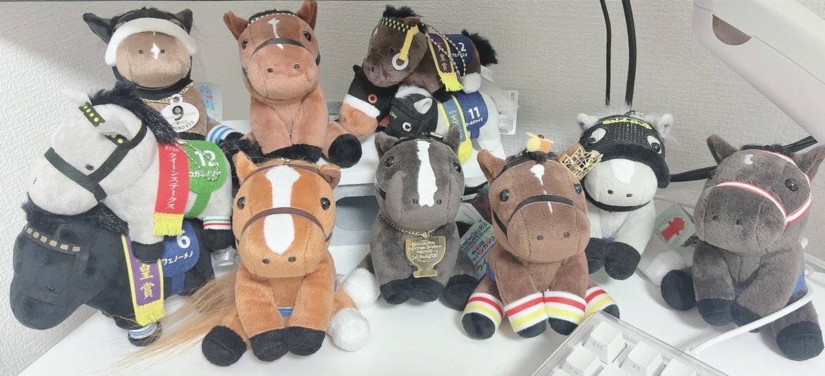 アイドルホースドレスお問い合わせページ（材料写真あり） アイドルホースコスチューム新発売🌤】 アイドルホースぬいぐるみS