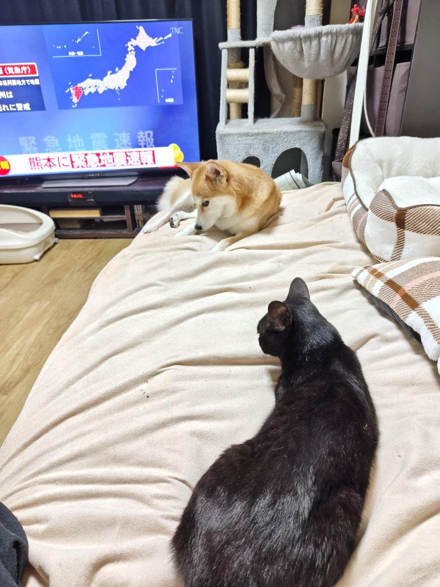 熊本で地震発生　SNSで心配の声続出