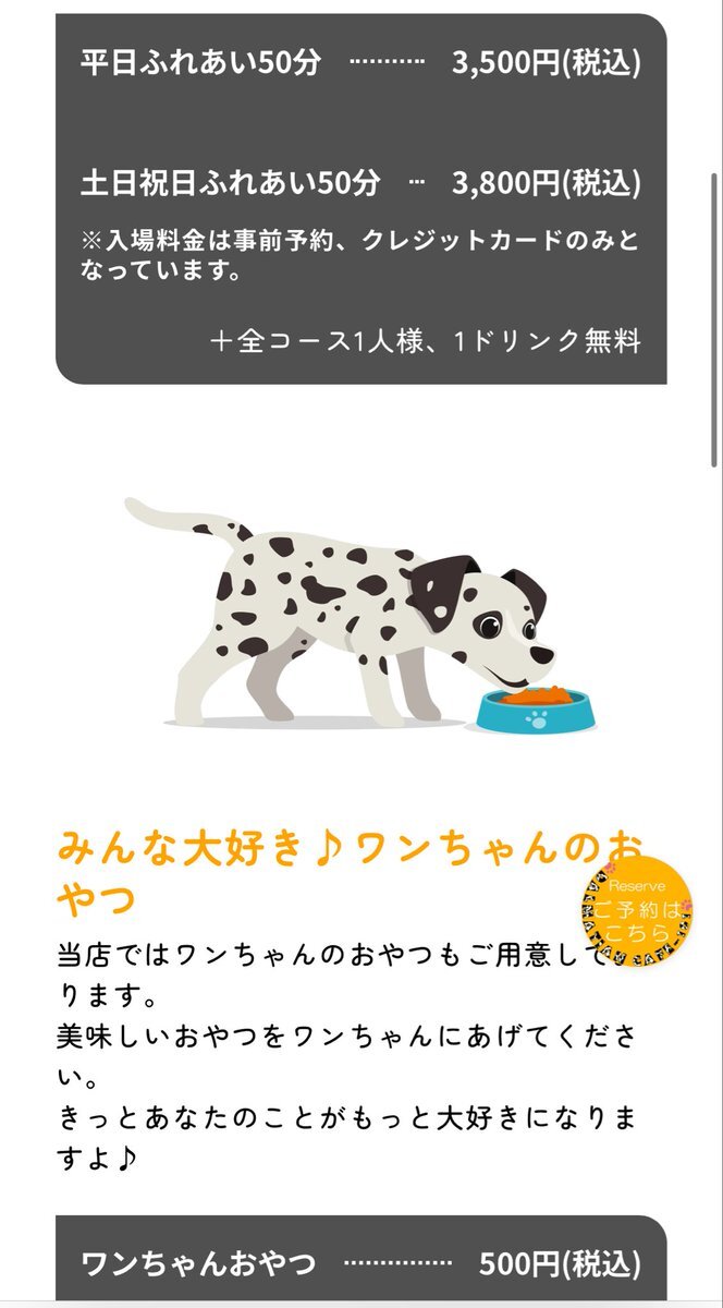 ダルメシアンカフェ、みんなが夢中になる理由とは？