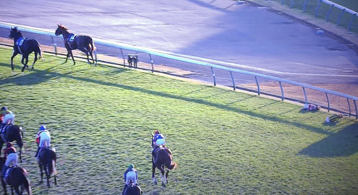 ジャパンカップでカランダガンが勝利！戸崎騎手、ルメール騎手は大丈夫か