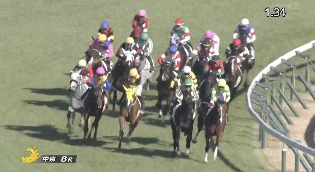 コスモレオナルド、中京8Rで惜敗！ファンは「次こそ！」と期待 