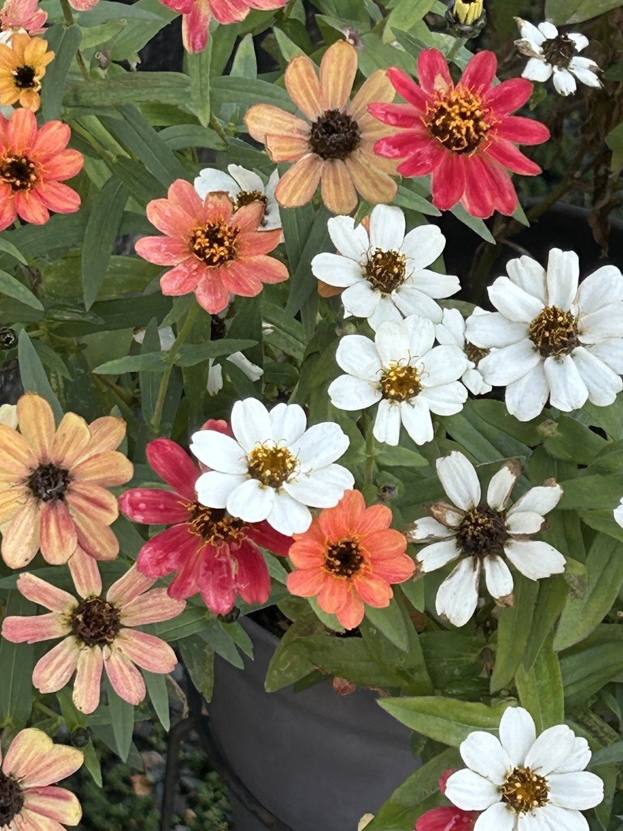 年末年始休暇、退職を語る人々のSNS投稿 