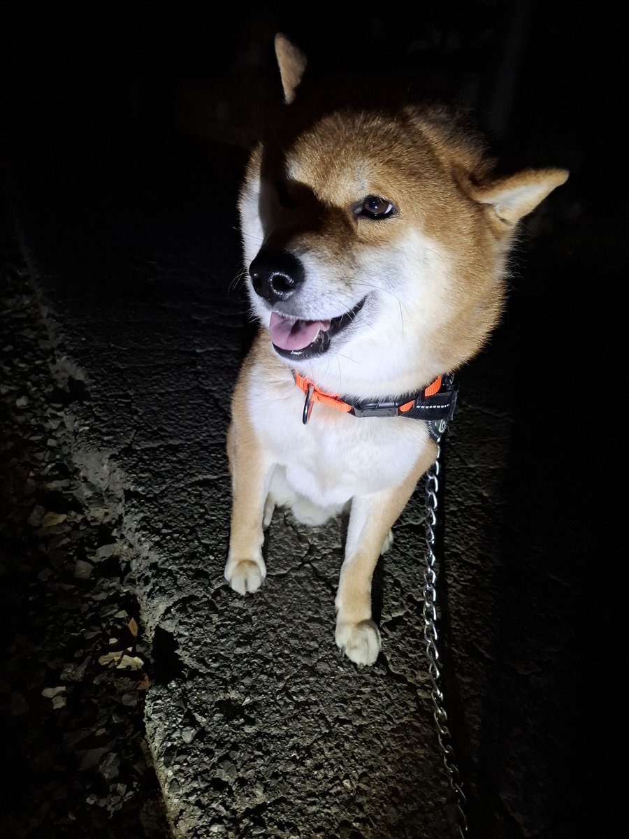 日本代表、ワールドカップ2025でFグループに！オランダ、チュニジアと激突