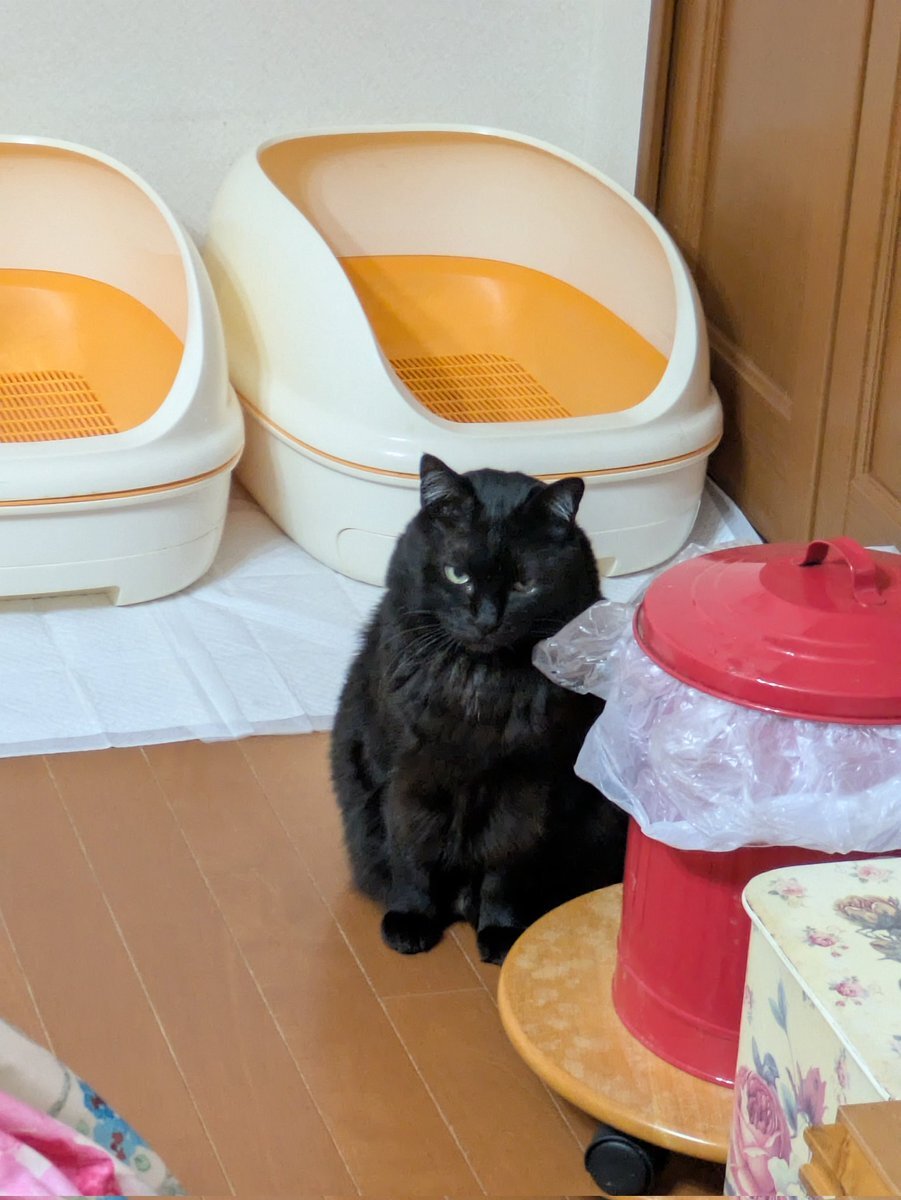 Real Madrid戦、フェデのポジションに意見集中！ファン期待の攻撃展開は？ 