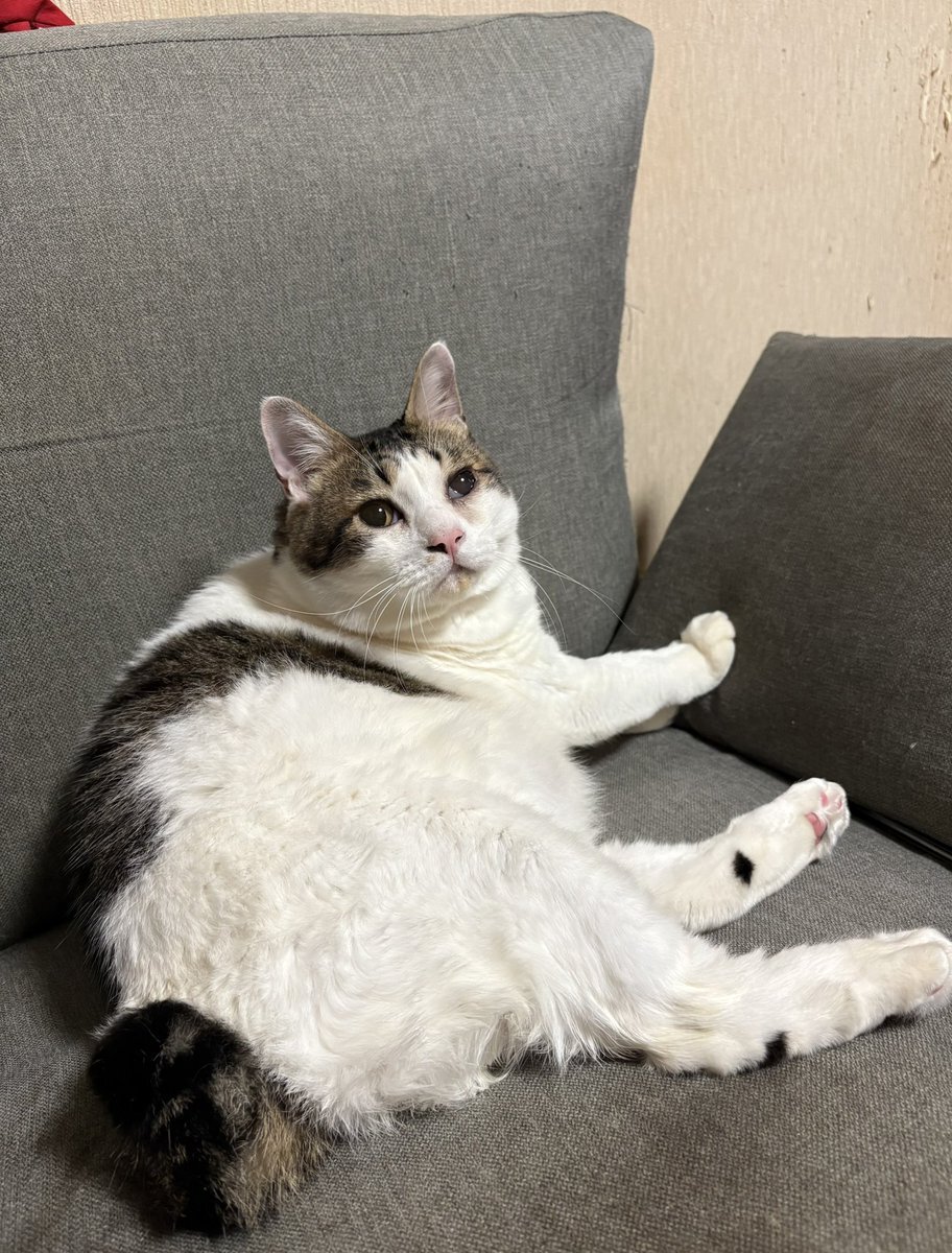 朝3時に起きている人たちの過ごし方は？