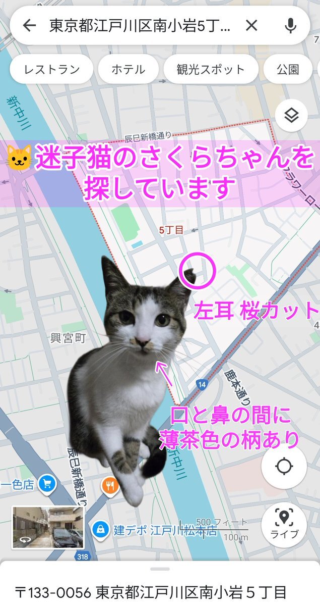 新中川」のYahoo!リアルタイム検索 - X（旧Twitter）を