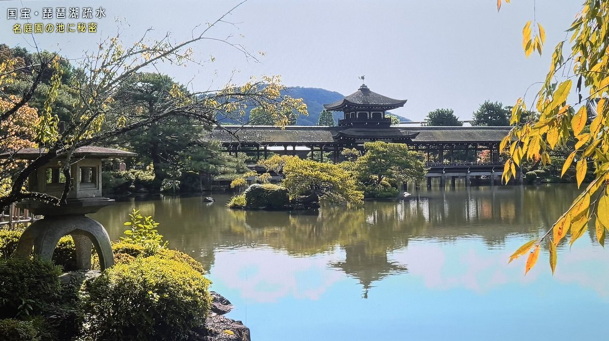 琵琶湖疏水の魅力にファン魅了！「新美の巨人たち」放送で話題に