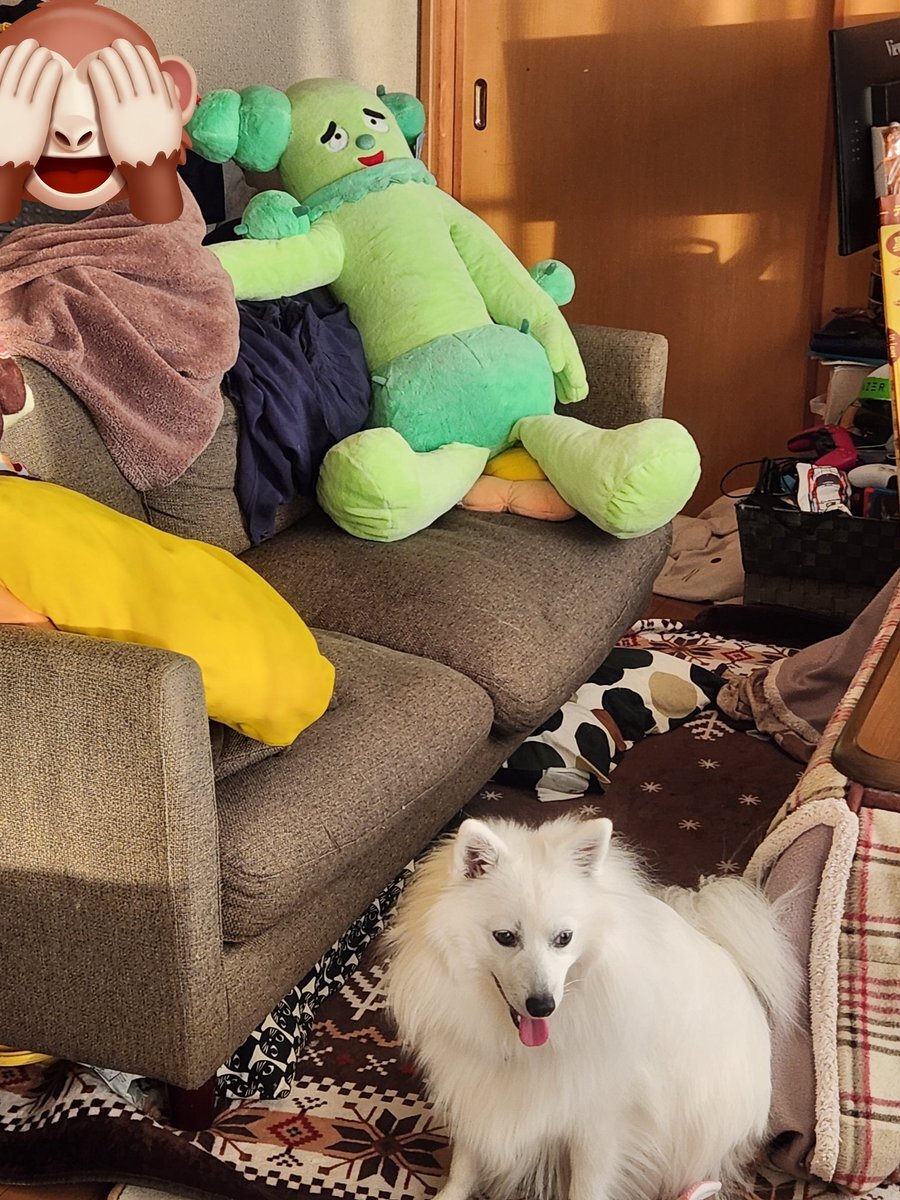 サボさん」のYahoo!リアルタイム検索 - X（旧Twitter）をリアルタイム検索