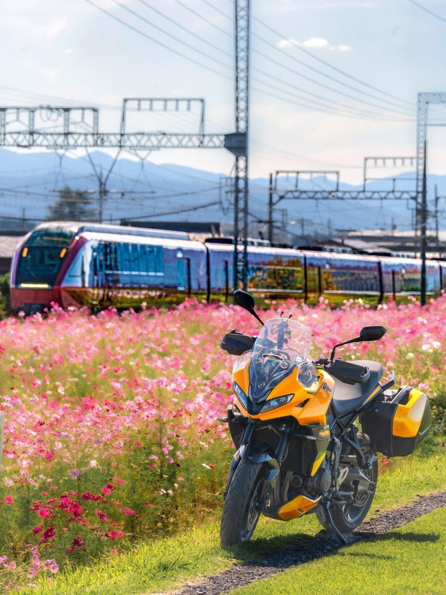 宜しくお願いします♡ 美容液 duchungjp06 美容液 duchungjp06 ZX-CLINIC【公式