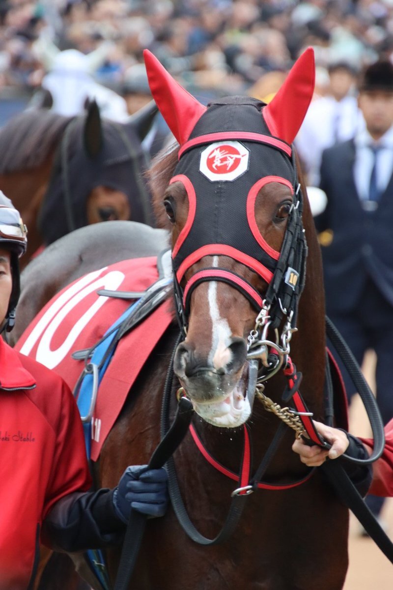 アルゼンチン共和国杯でマイネルカンパーナは7着に！ 