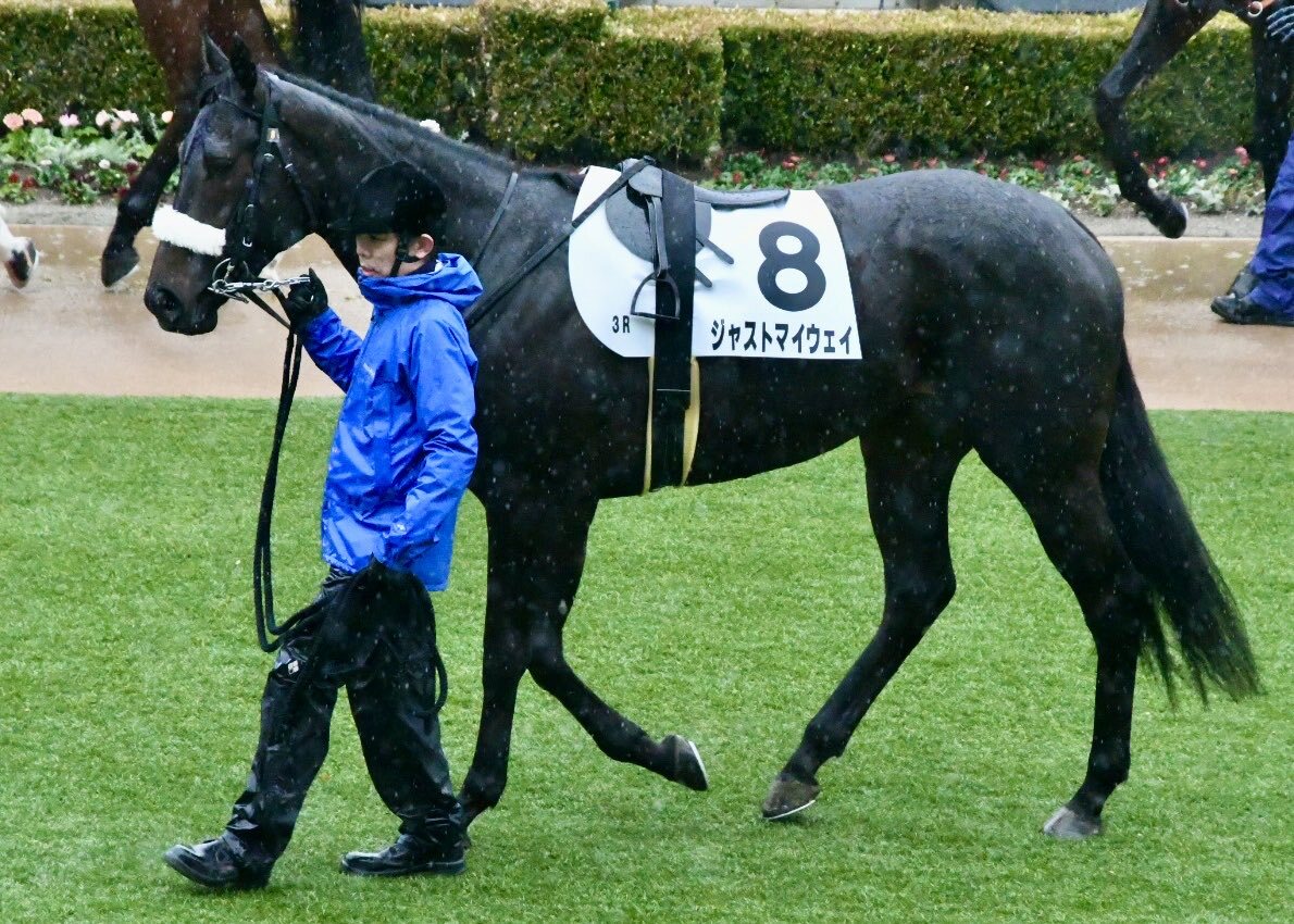 ジャストマイウェイ、中山競馬場で2歳未勝利戦に参戦！ファン期待高まる