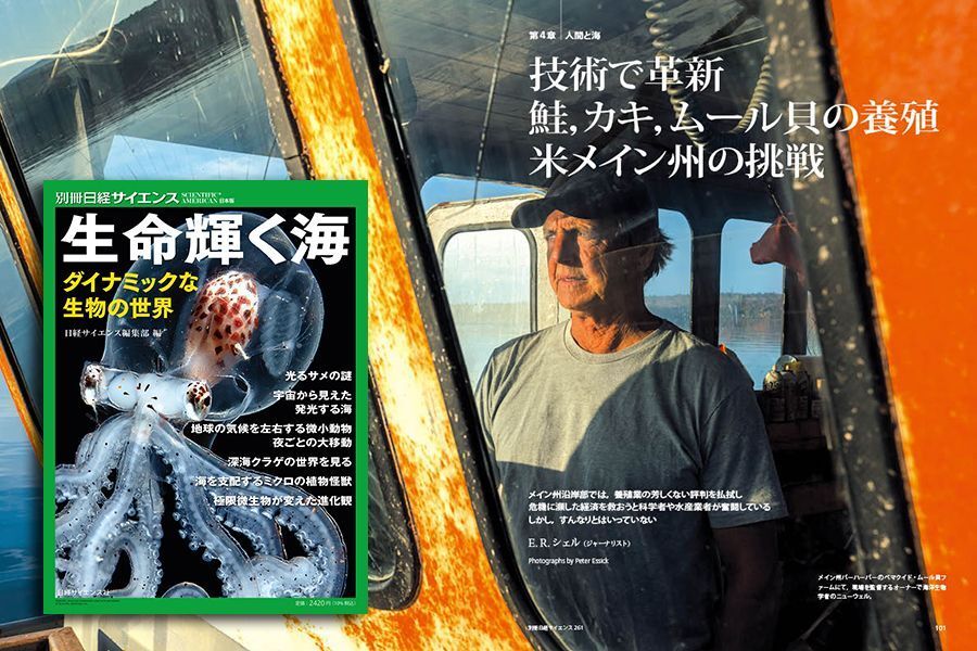 中国、日本産水産物輸入停止通達