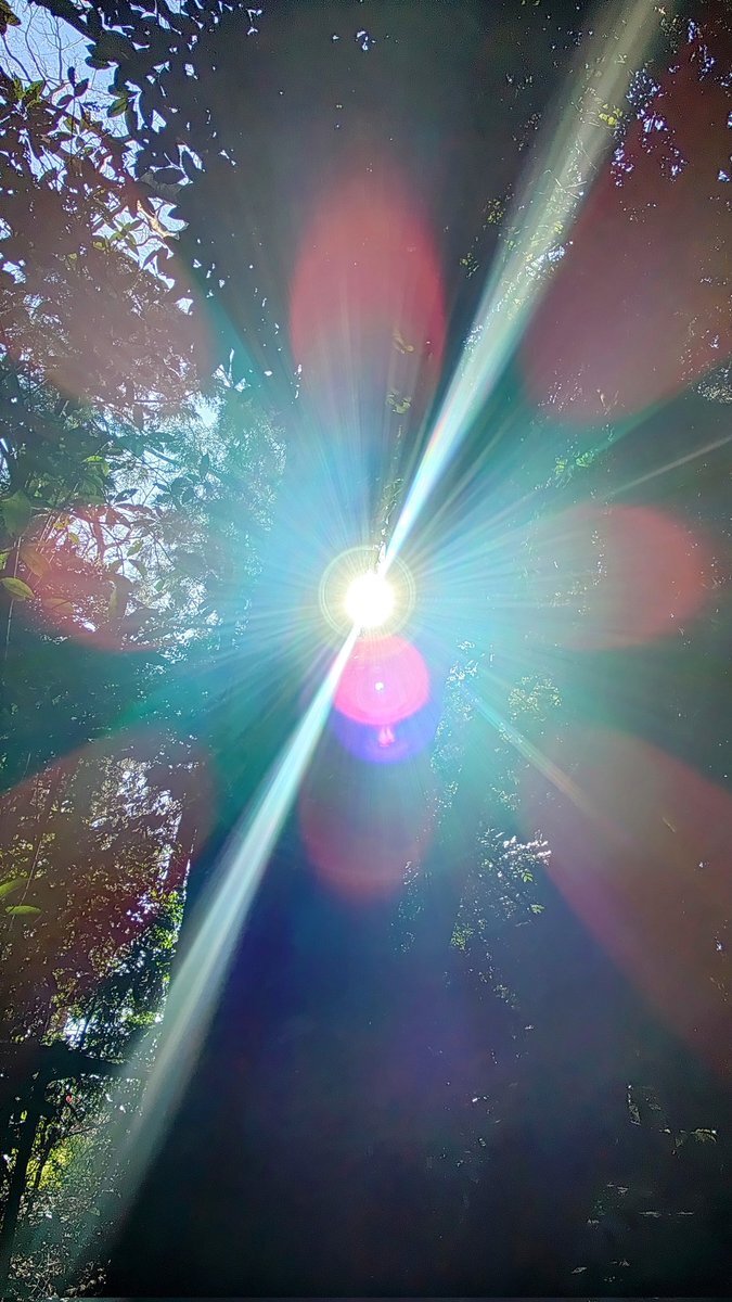 目を覚ますこと、夢、感情の変化について語る投稿者が多数