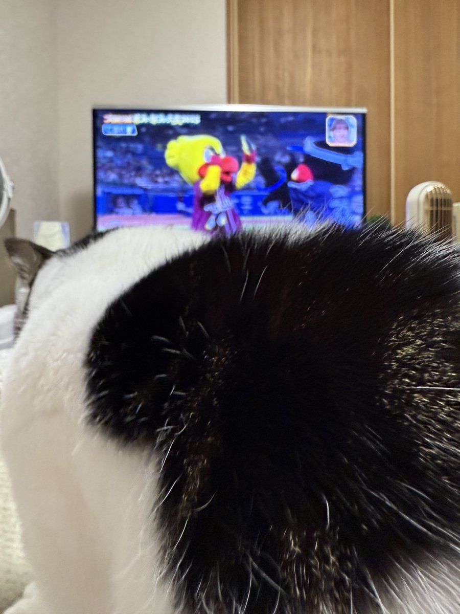 つばみ、プロ野球珍プレー好プレーで全国に！ファン歓喜