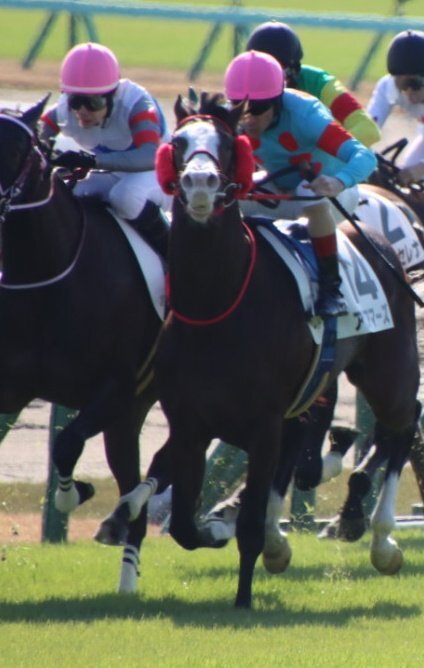 アクアマーズ、人気に応えられず6着に　ファンは惜しむ声