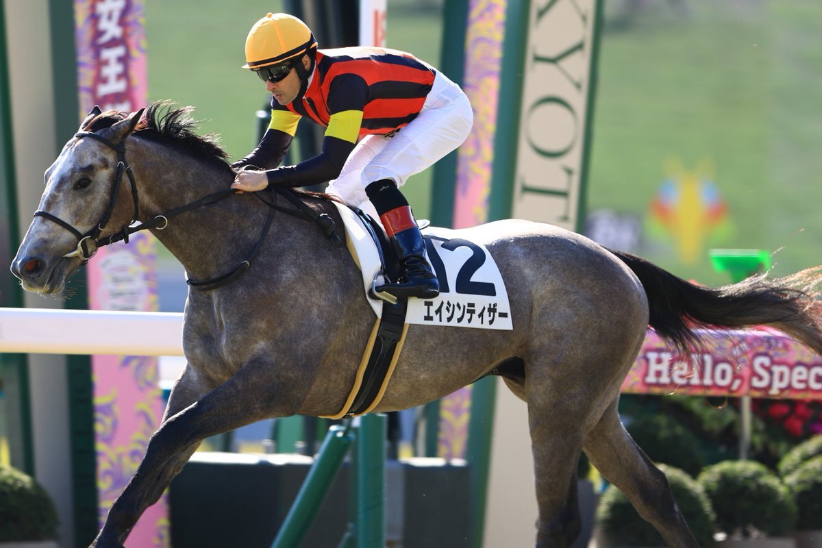 モズアスコット産駒のエイシンティザーが勝利！レース展開は？