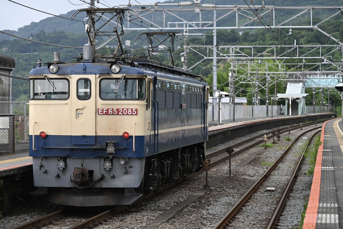 横田めぐみ 大人