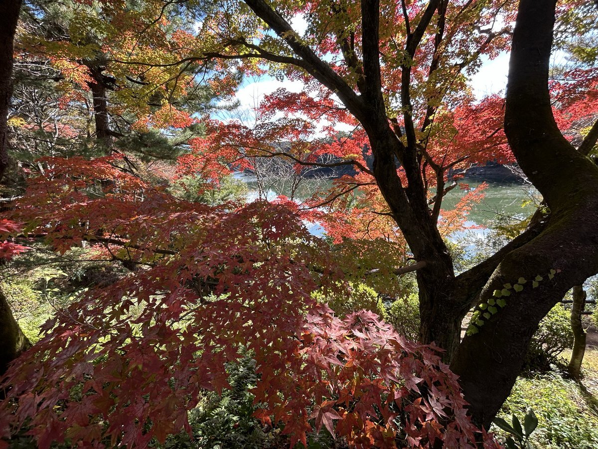 12月4日、寒さに感じる人々 - SNS投稿まとめ 