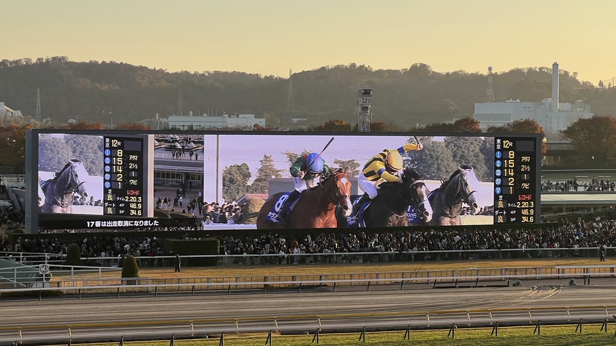 アドマイヤテラ、シルヴィーの落馬を彷彿とさせるスタート！ 