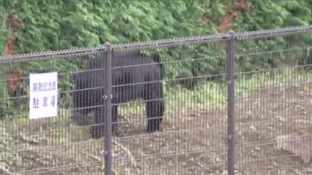 盛岡・原敬記念館にクマ居座り 警察が警戒