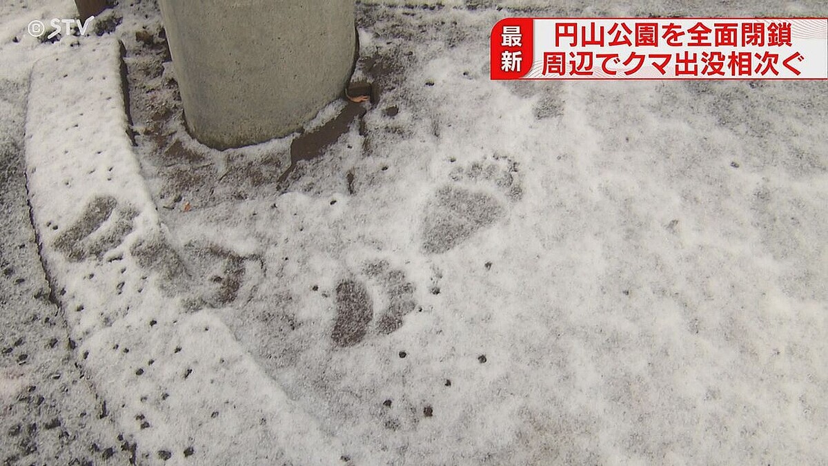 円山公園、ヒグマ出没で2週間閉鎖