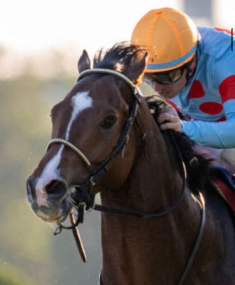 サートゥルナーリア産駒 カヴァレリッツォが朝日杯FSで初G1制覇！ 