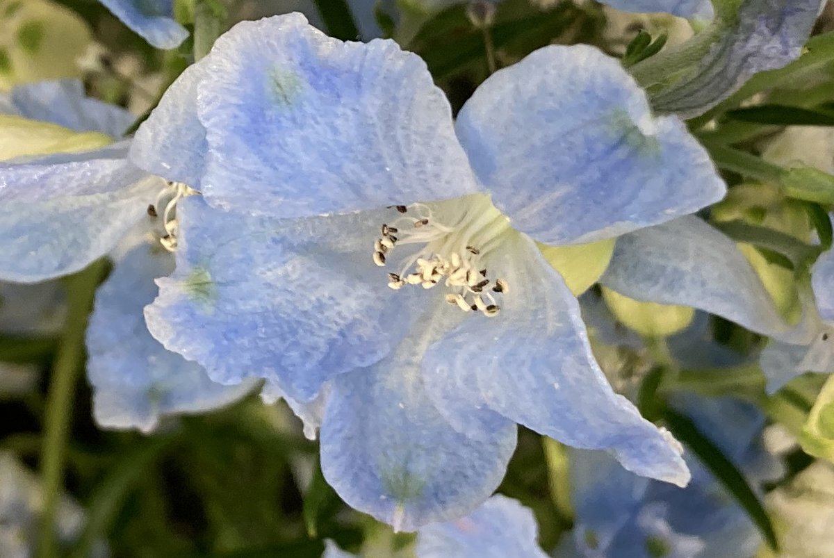 12月13日は「胃に胃散の日」！ 多くの記念日も