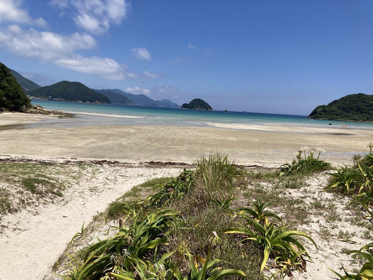 上五島」のYahoo!リアルタイム検索 - X（旧Twitter）をリアルタイム検索