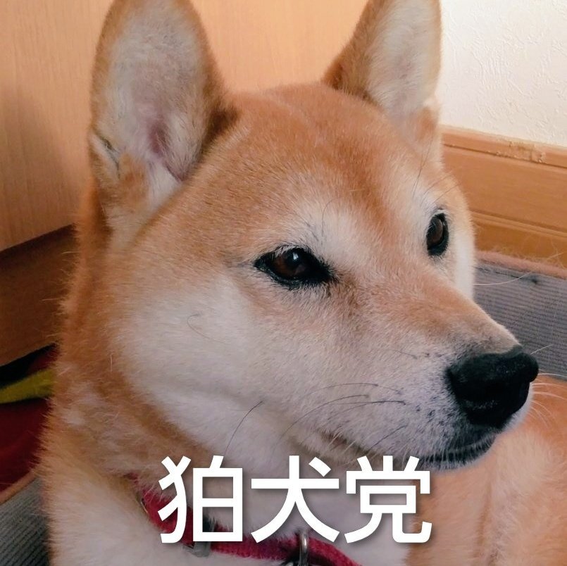 中国軍機、自衛隊機にレーダー照射　SNSで懸念の声