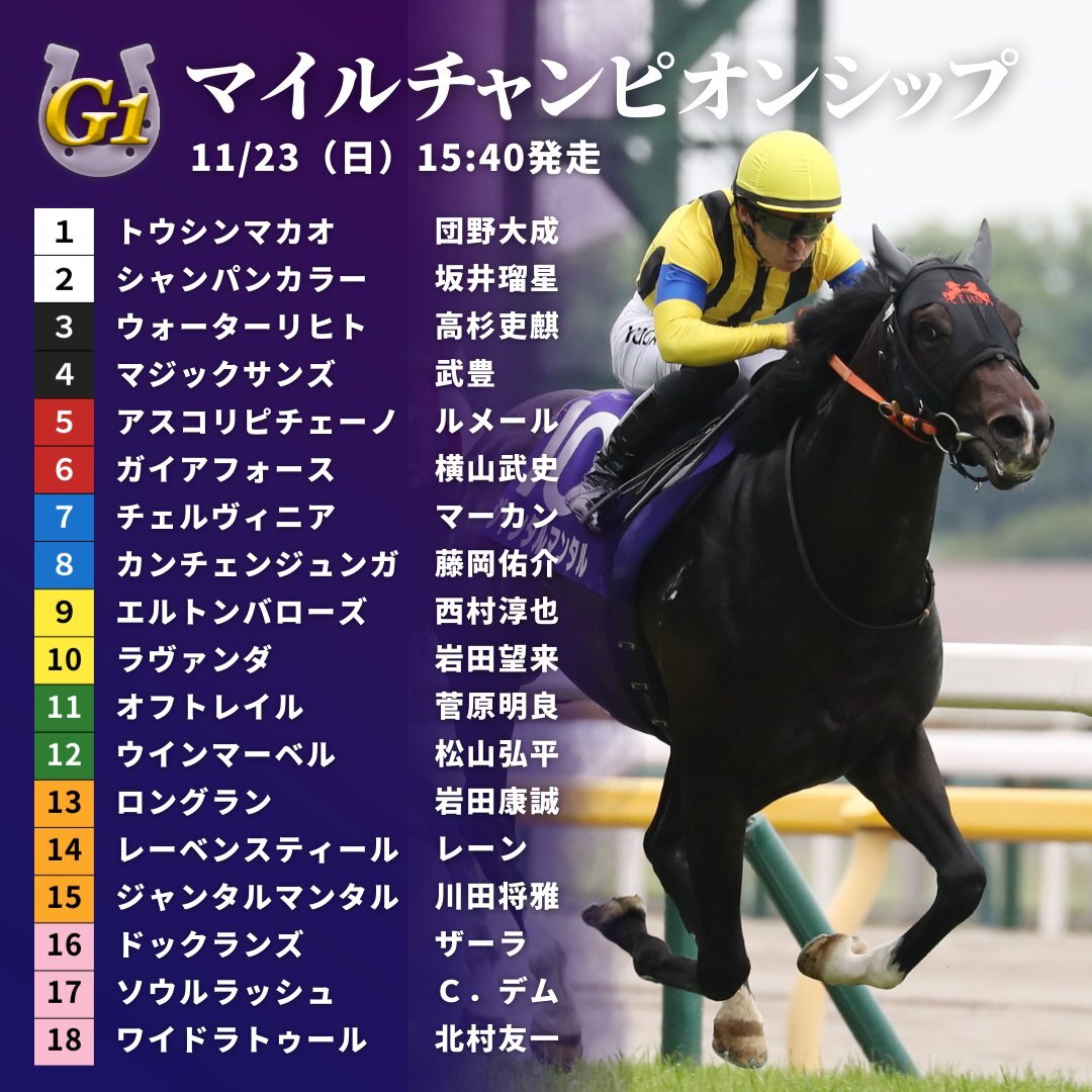 マイルCS枠順発表！ジャンタルマンタル、ソウルラッシュは外枠に