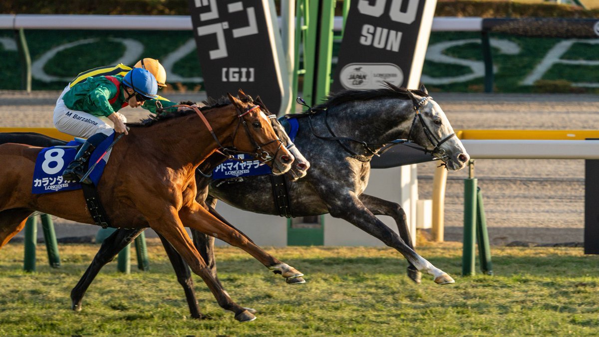 カランダガン、ジャパンカップ制覇！種牡馬夢は叶わない？ 