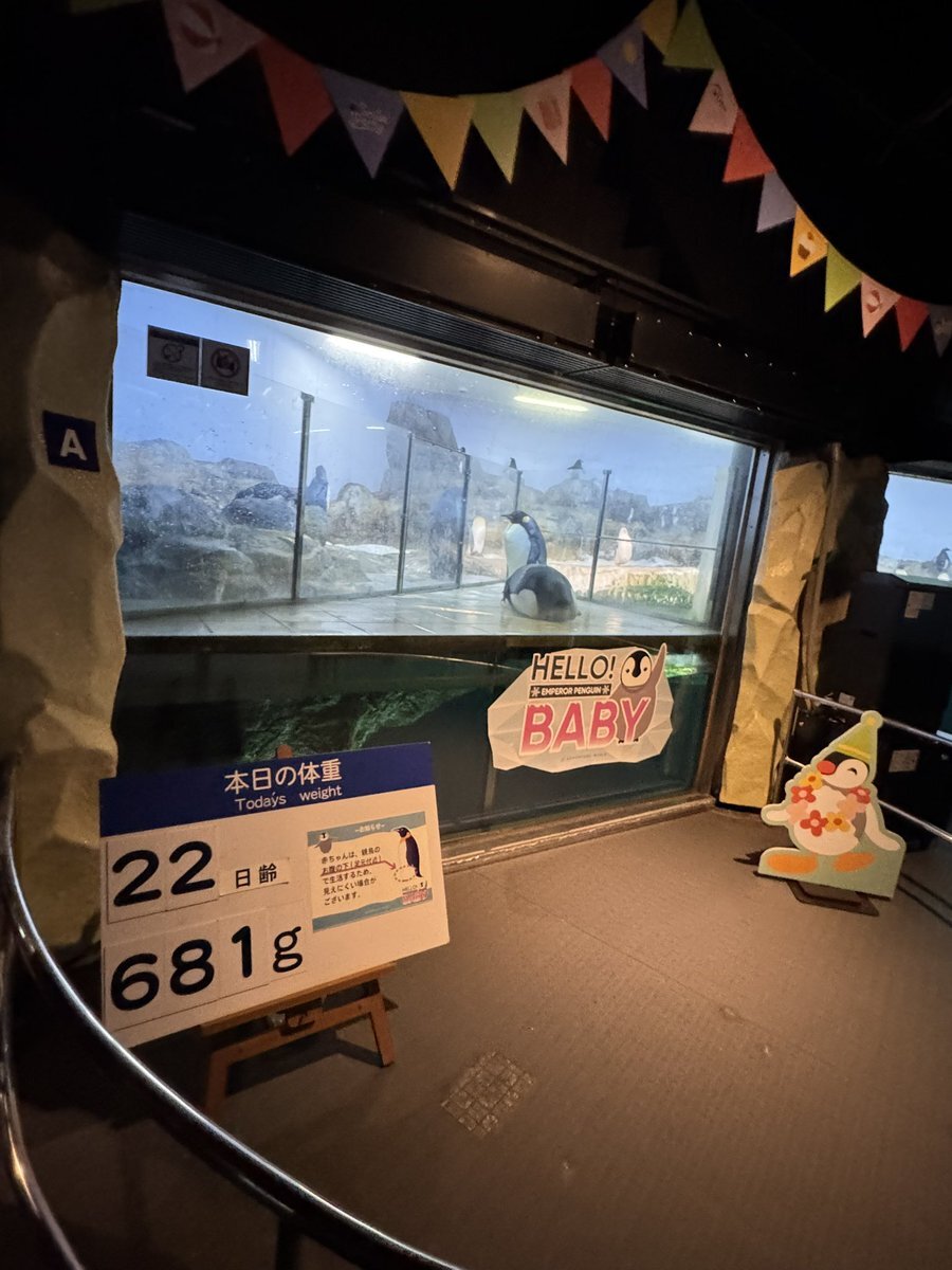 新米パパ クラちゃん on X: 