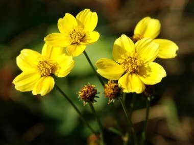 ジョン・レノン命日、ファンは「レノンズデー」で音楽を偲ぶ