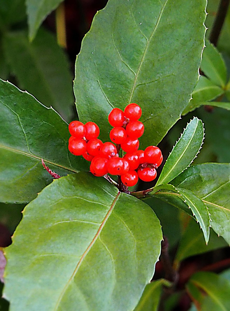 テレホンカードの日：懐かしのテレカ、公衆電話と共に 