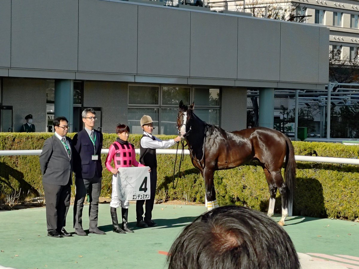 エンデュミオン、鷲頭虎太騎手による障害オープン制覇！