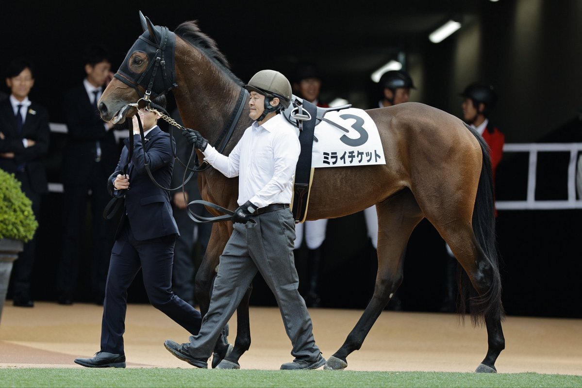 ミライチケット、京都競馬で7着！ ファンは応援続々