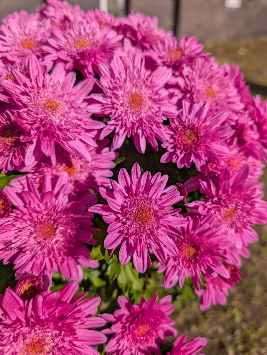 気温急降下！SNSで寒さ対策の声が殺到