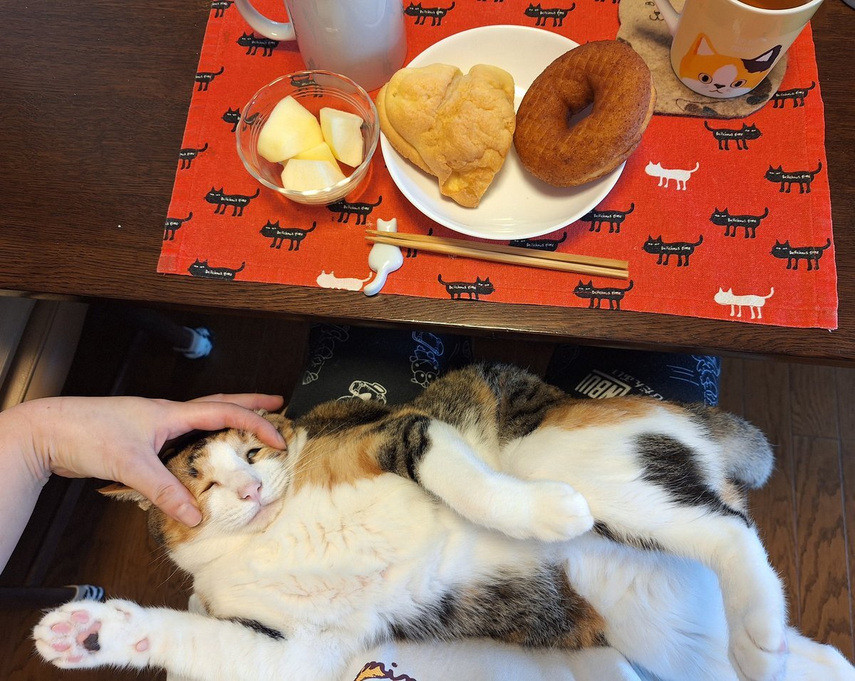 ⭐︎メロンパン⭐︎ メロンパン」のYahoo!リアルタイム検索 - X（旧Twitter）を